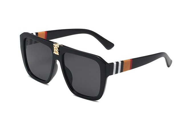Model 4381 Sunglasses 5