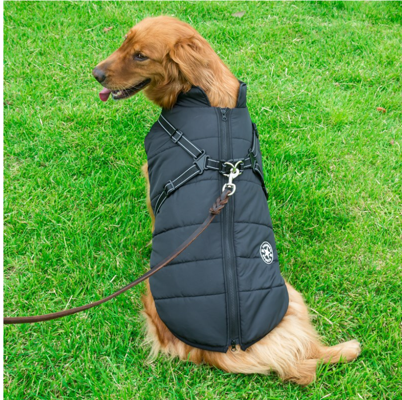 Dog Jacket Black