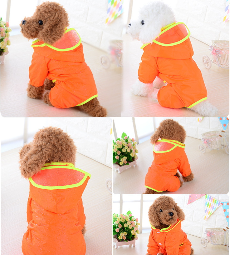 Pet Raincoat 4