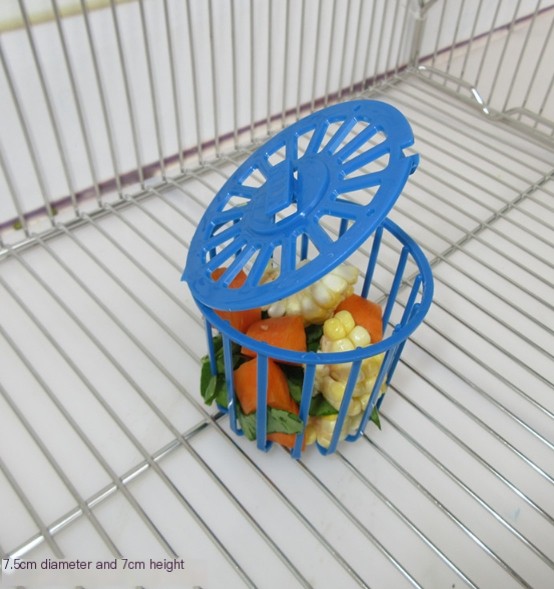 Parrot Fruit and Vegetable Basket