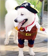 Pirate Dog Costume