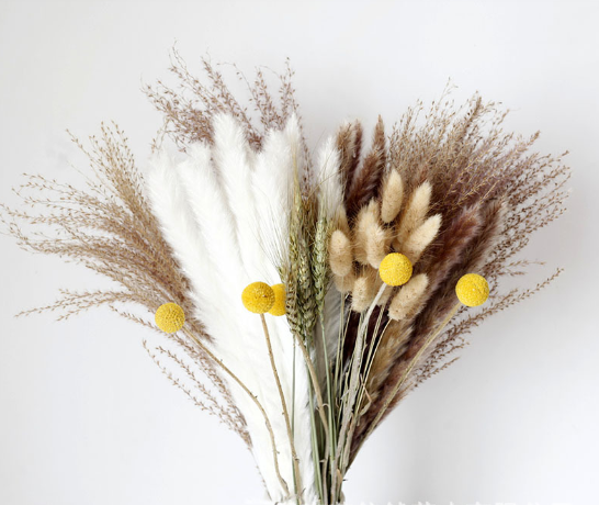 Pampas Grass Bundle