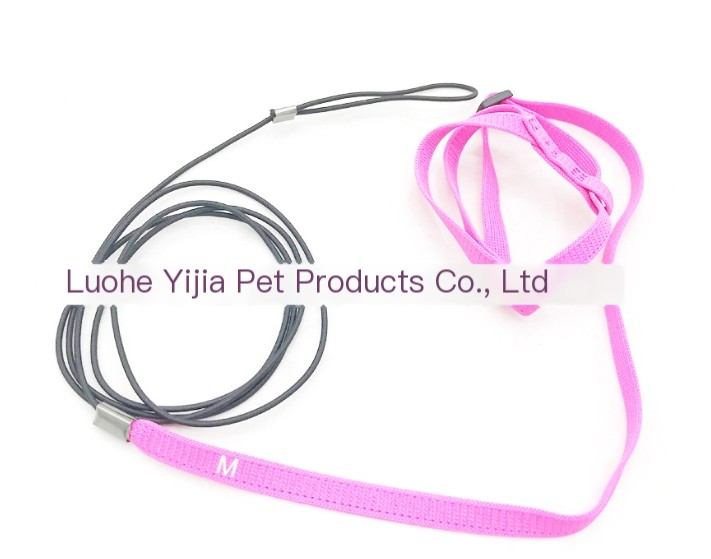 Different colors of Parrot Flight Rope