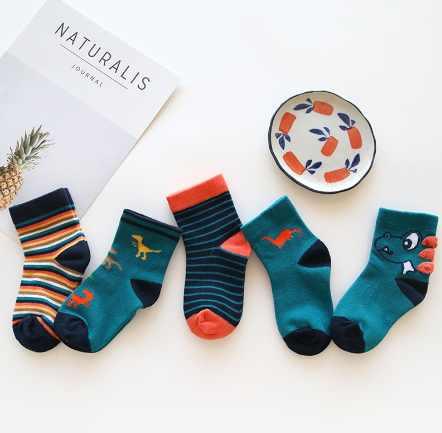 Dinosaur Series Socks