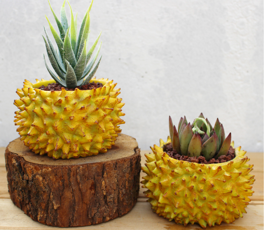 Creative Flower Pot Image 2