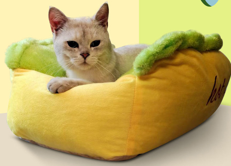 Cozy pet bed for dogs
