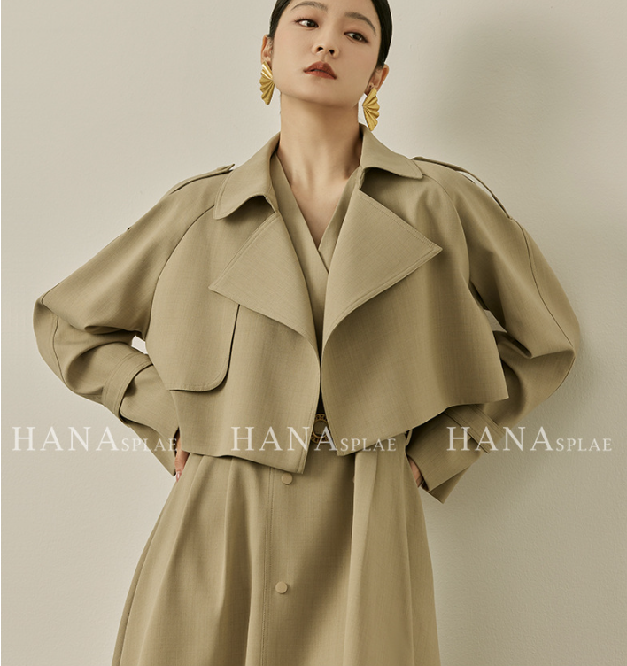 Dress Image 4