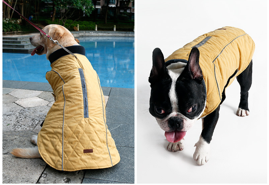 Cozy design of Pet Jacket