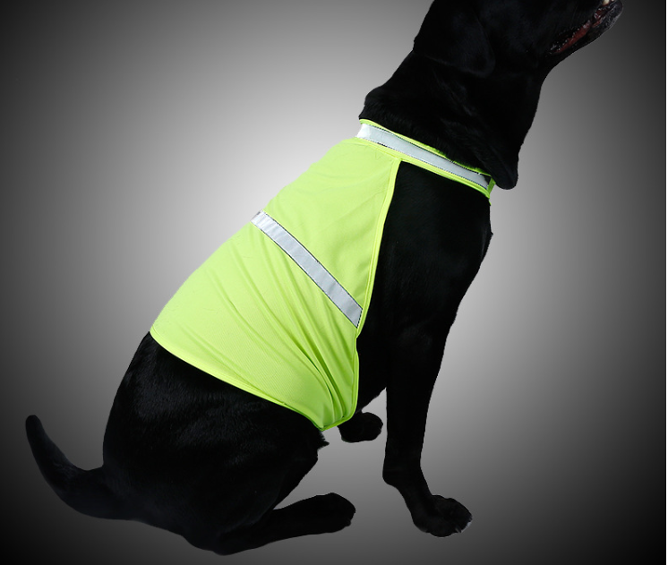 Fluorescent Safety Dog Vest in Yellow