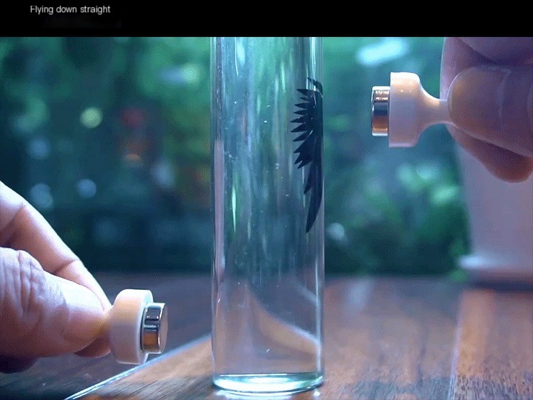 Ferrofluid Bottle 3