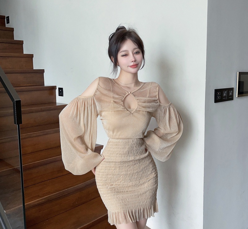 Elegant Design of the Dress