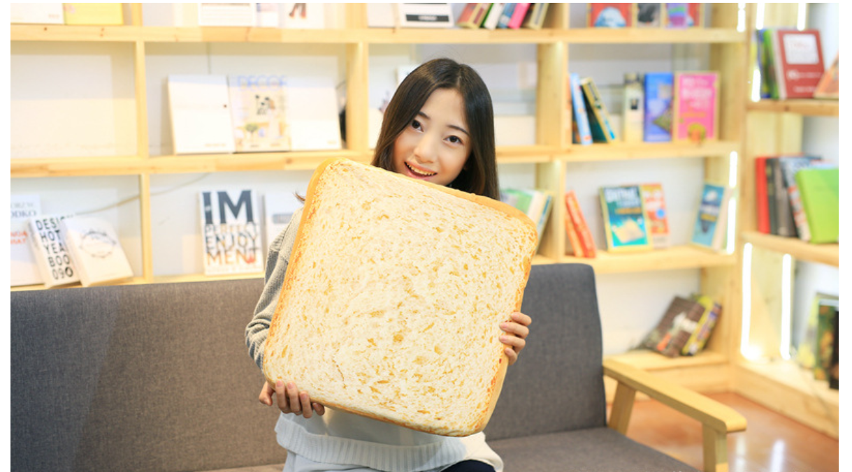 Toast Plush Pillow Image 1