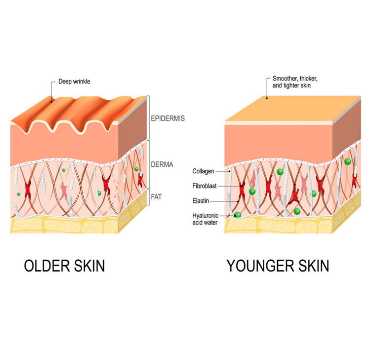 Moisturizing Formula