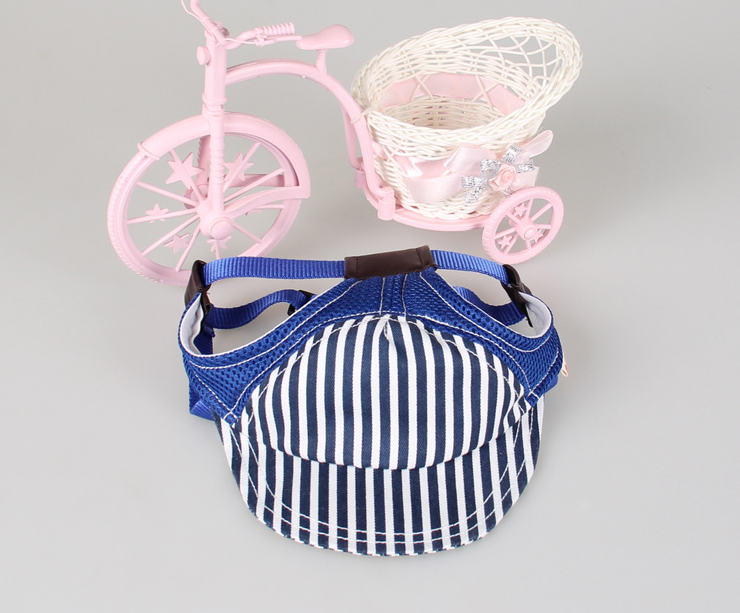 Pet Baseball Cap Sky Blue