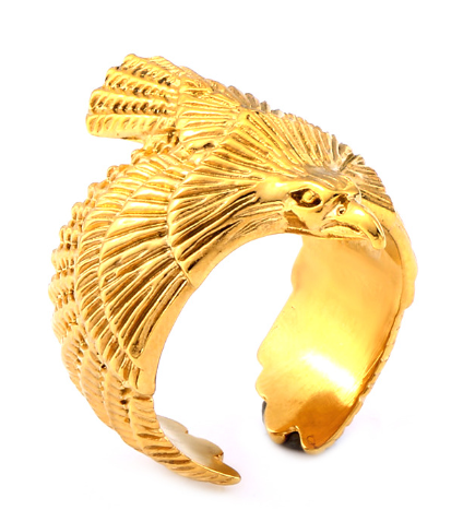 Ring Image 1