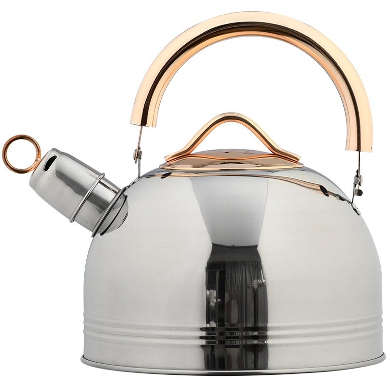 Stainless Steel Whistling Kettle
