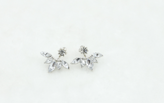 Earrings Image 4