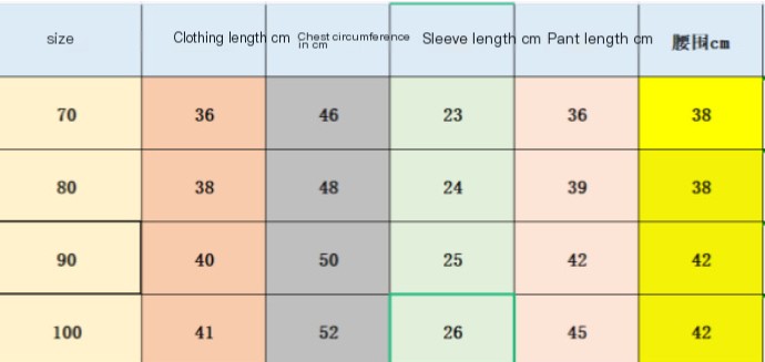 Baby Girl Clothing Suit