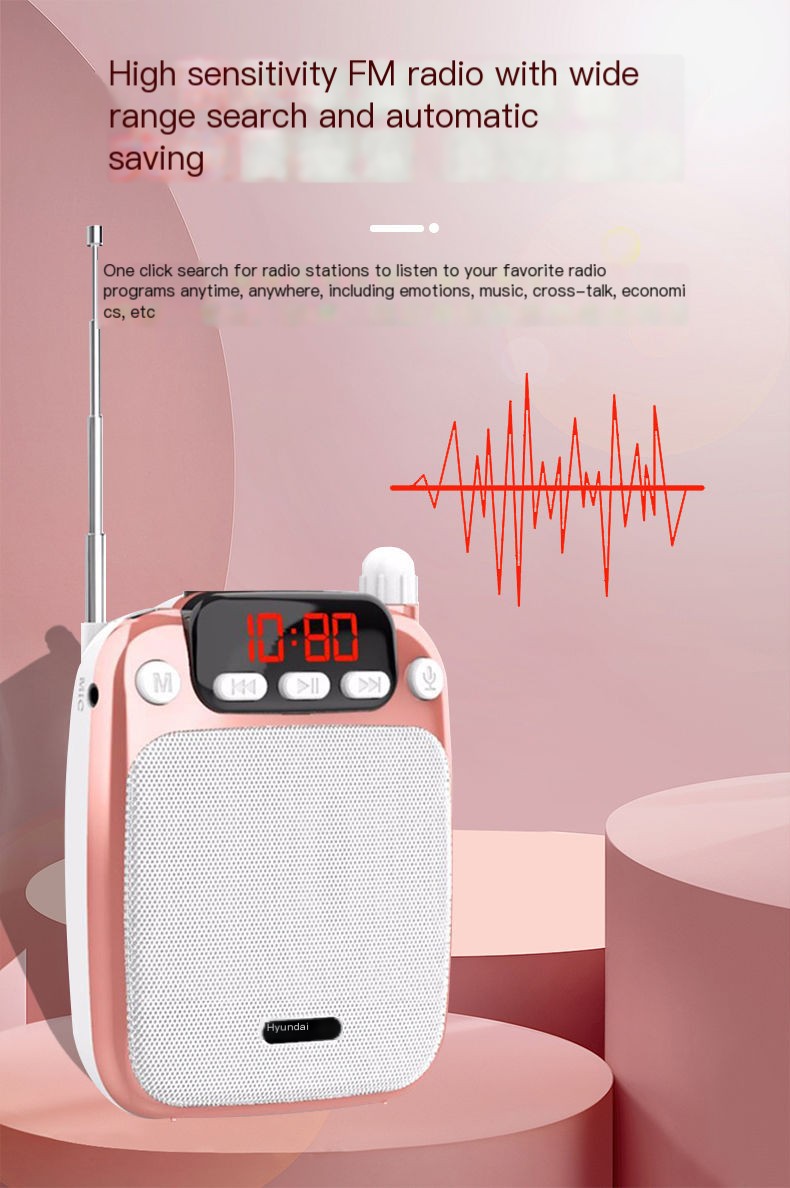 Bluetooth Portable Amplifier 10
