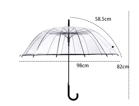 Transparent Umbrella Image 1