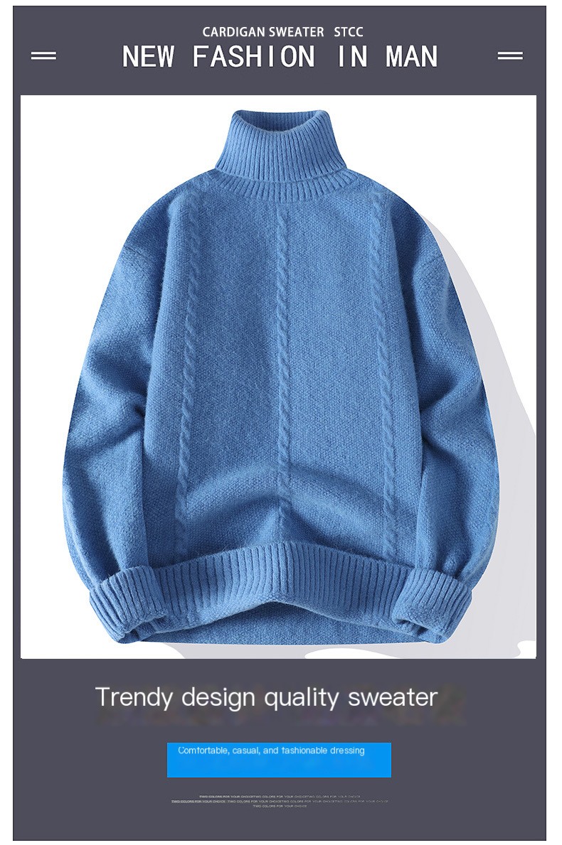 Apollo Turtle Sweater Image 1