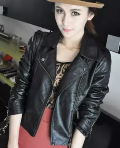 Motorcycle Jacket Image 1