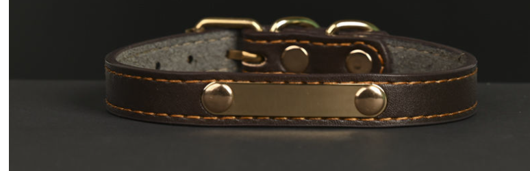 Dog Collar 5