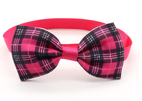 Paw Charm Collar Image 4