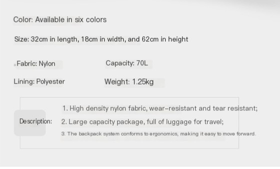 Traveling Backpack