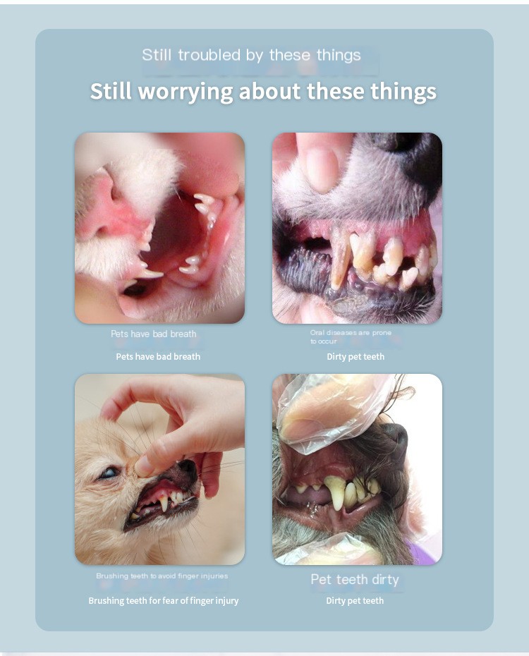 Dog Toothbrush Image 3