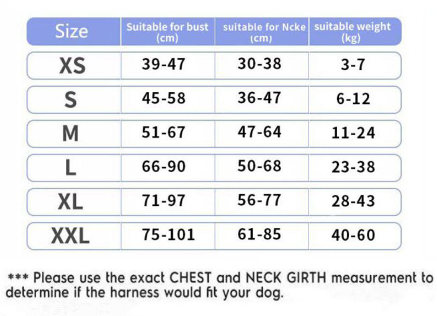 Personalized Dog Harness