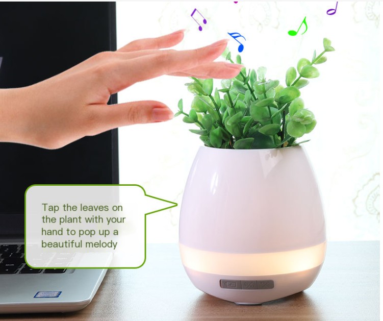 Musical Flower Pot Image 1