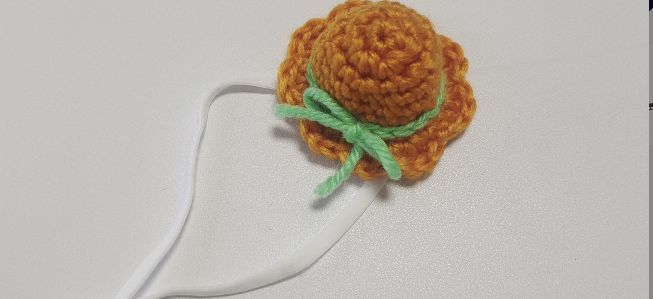 Pet Hat 2