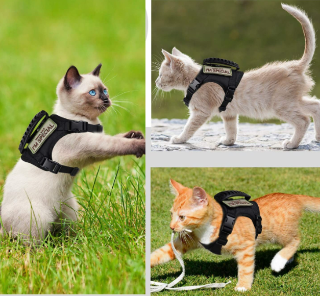 Cat Leash Vest in use