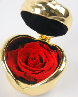 Eternal Flower Rose Jewelry Box - Silver Red
