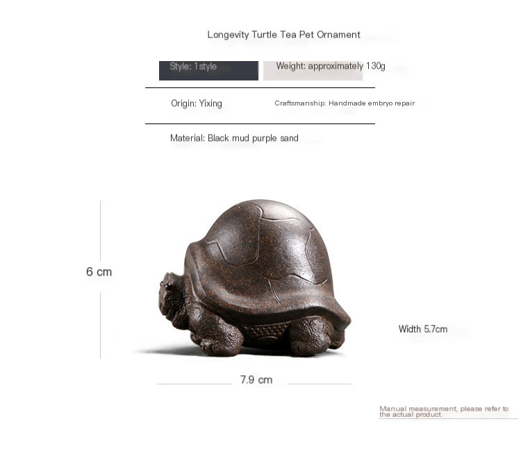 Longevity Turtle 1