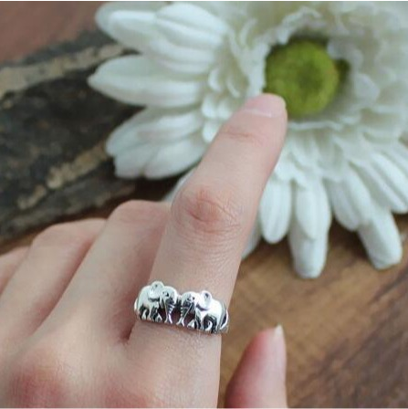 Elephant Ring Image 3