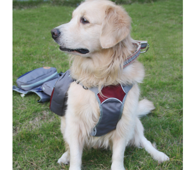 Pet Self-Backpack Red M