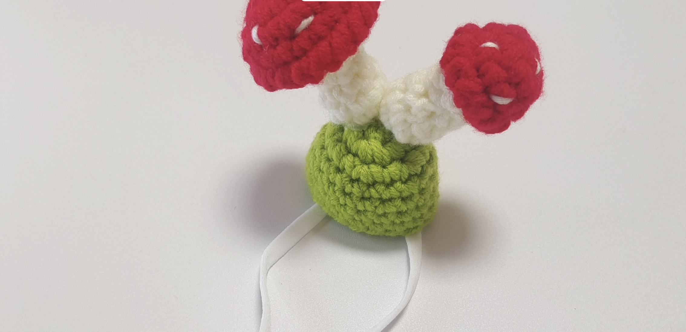 Pet Hat 5