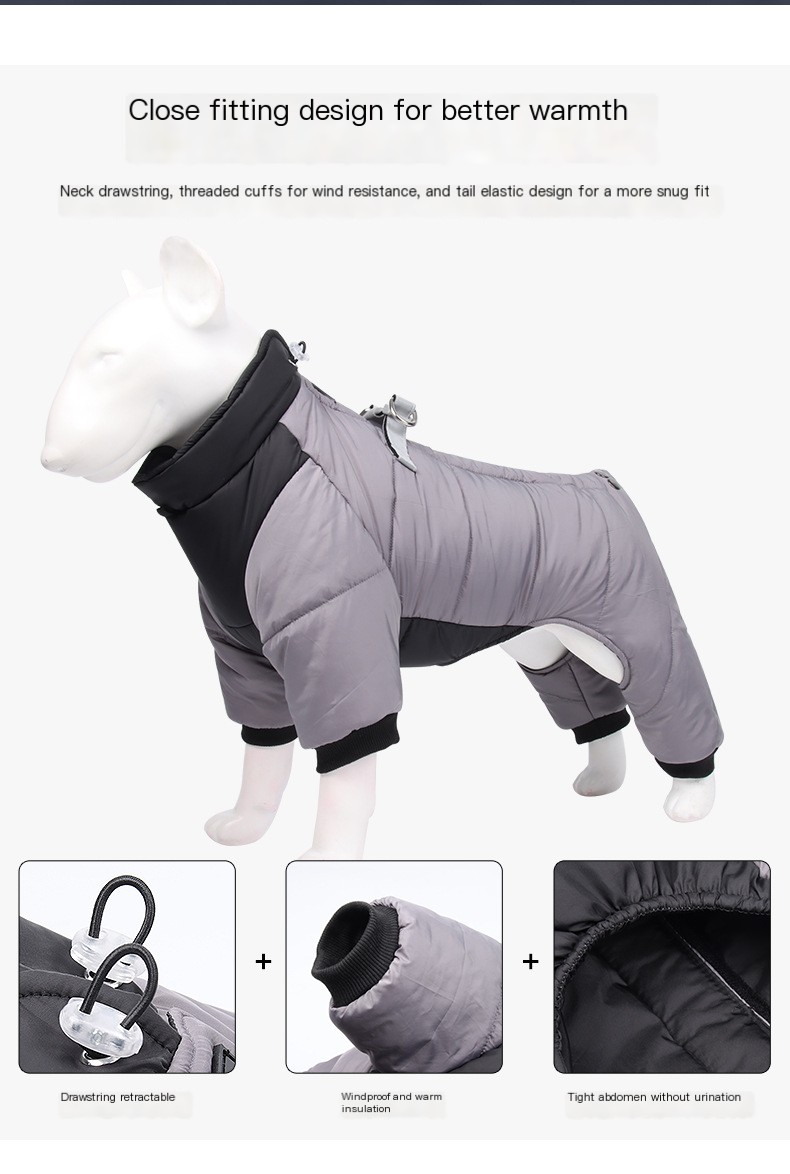 Dog Jacket in Action
