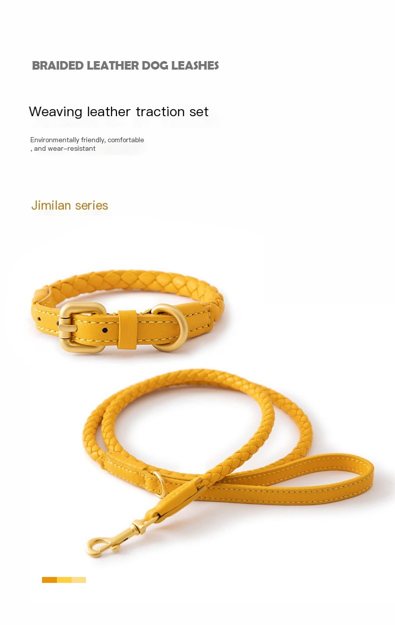 Premium Dog Collar - Yellow