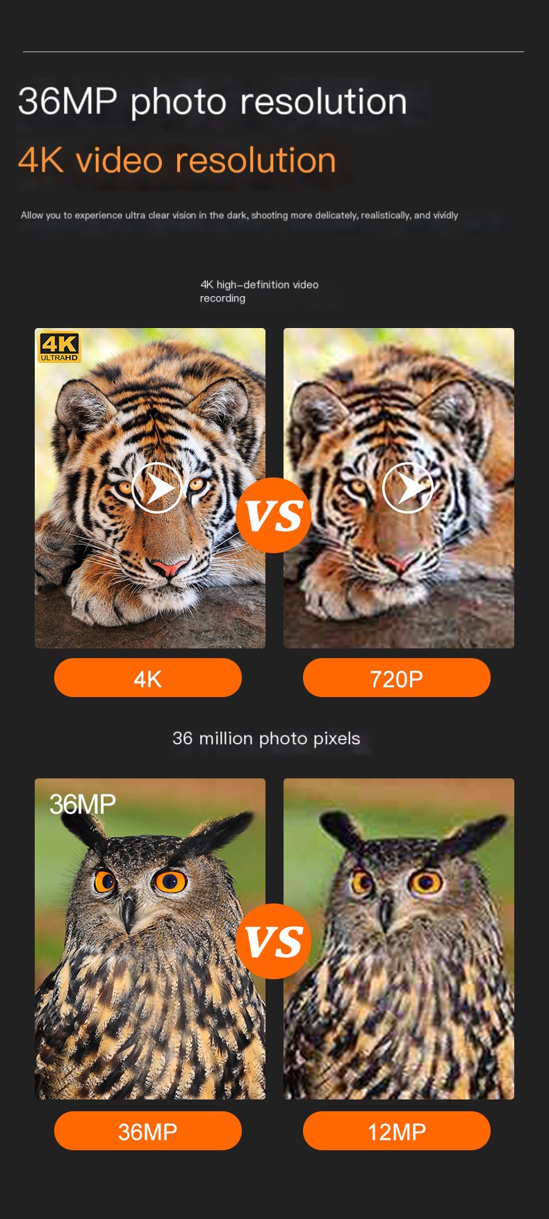 Capture Night Images