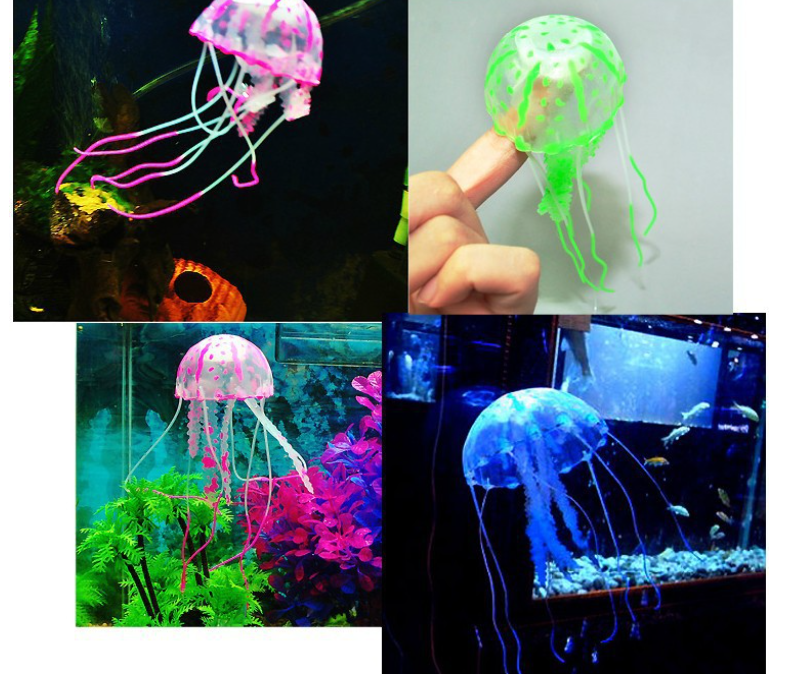 Realistic Jellyfish 3