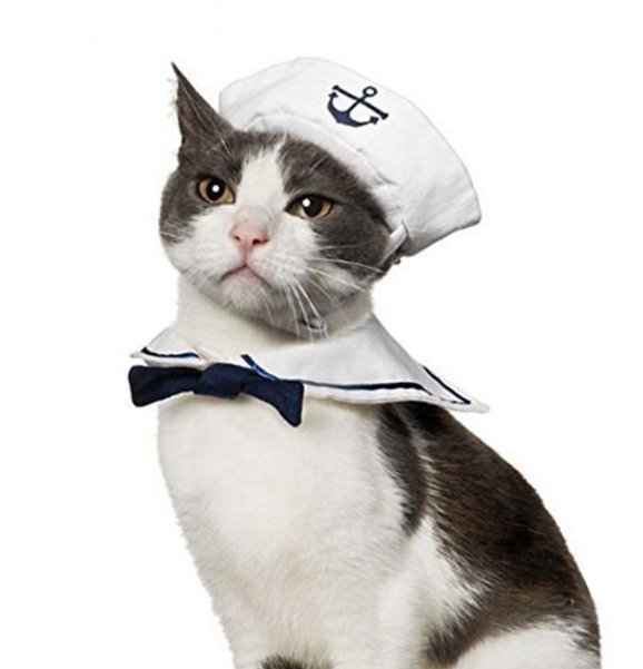 Pet Navy Suit Image 3