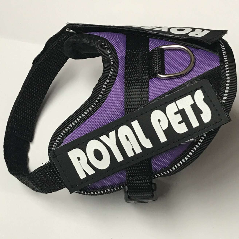 Different Colors of Harness