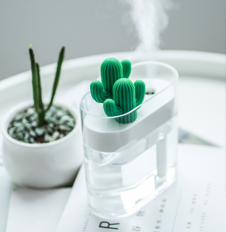 Home Decor with Cactus Humidifier