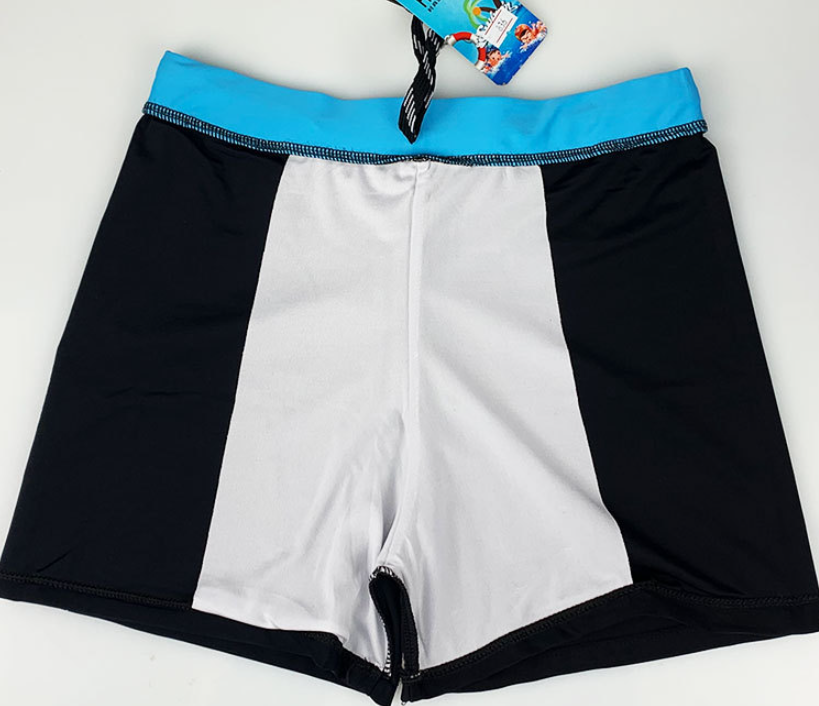 Swimming Trunks 1