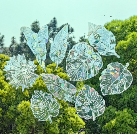 Combo 6 Evil Eye Stickers