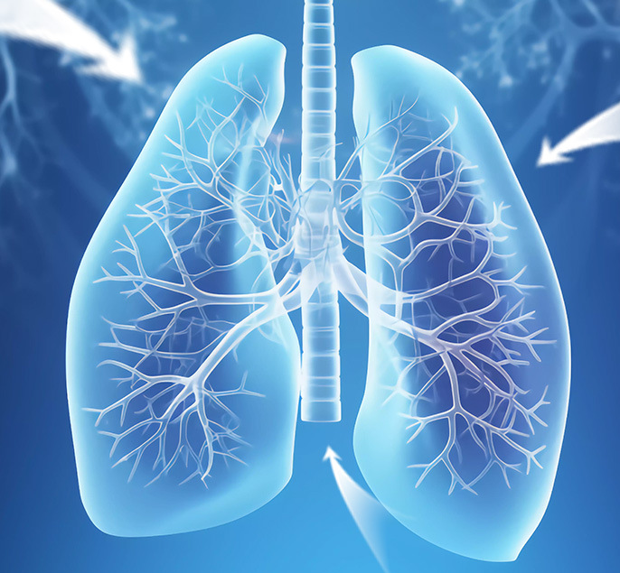 Portable Micro Net Atomizer Image 3