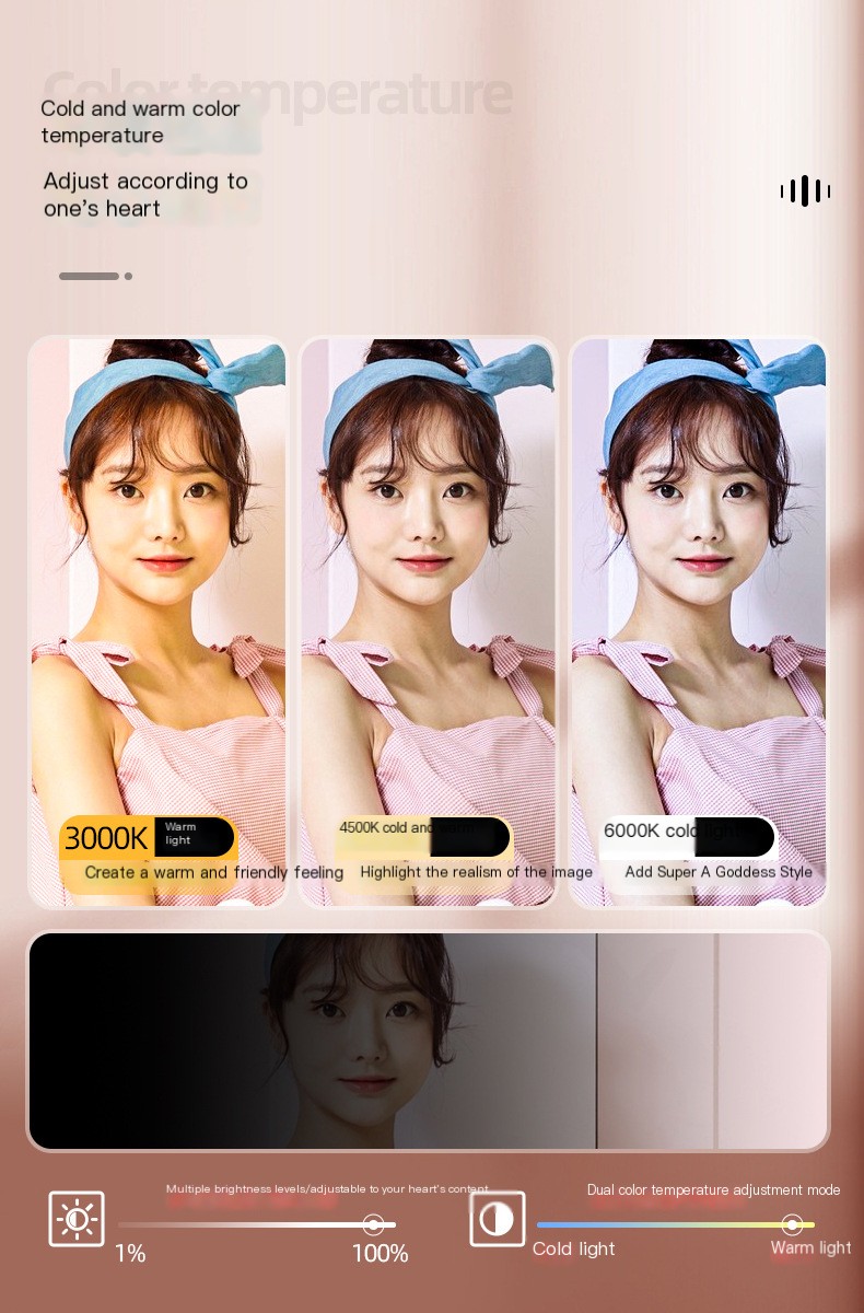 Video Conference Fill Light